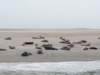HWK Texel 126_small.jpg